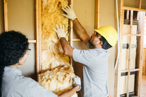 Best Crawl Space Insulation  in Anchor Point, AK