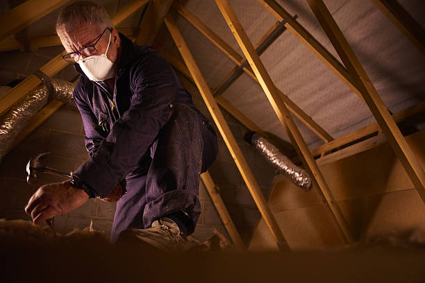 Insulation for Commercial Buildings in Anchor Point, AK